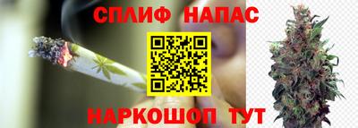 шишки Татарск