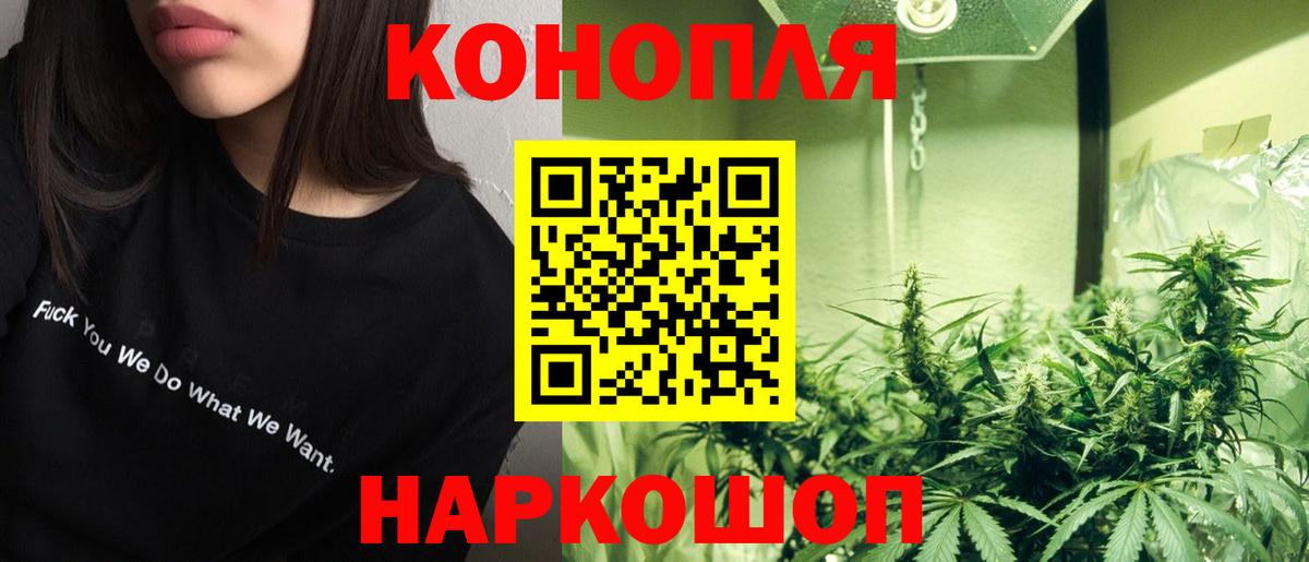Конопля Ganja  Шишки марихуана семена  Курчалой  Вход с VPN  МАРИХУАНА OG Kush 